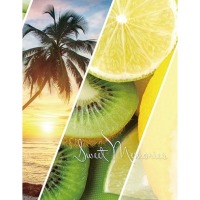 ������ UFO 10x15x200 PP-46200 Vacation 