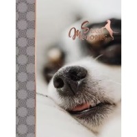 ������ UFO 10x15x200 PP-46200 Enjoy 