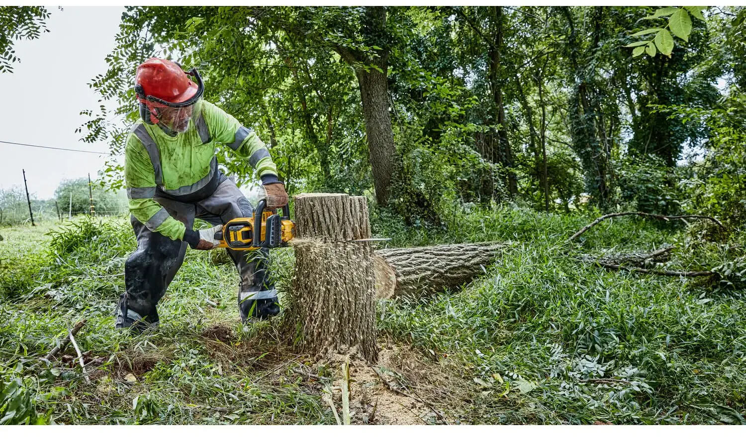 ���� ������ �������������� ����������� DeWALT DCMCS574X1 