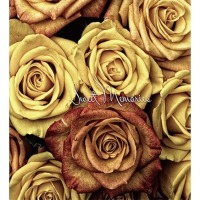 ������ UFO 10x15x200 PP-46200 Rosal 