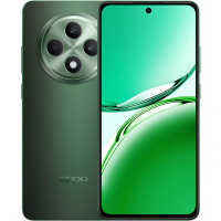  OPPO Reno12 FS 12/512GB (black green) 