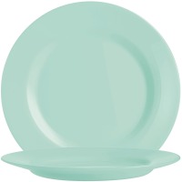 ������ ARCOROC NOVA AQUITANIA LIGHT TURQUOISE /15.5 ��/�������� (Q6207) 