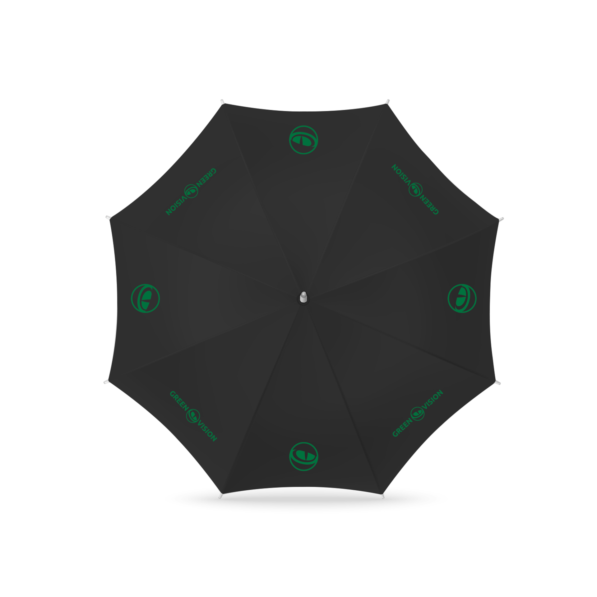 ������ GreenVision 