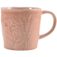 ����� Limited Edition HERB TERRA /320 �� (E1581-2) 