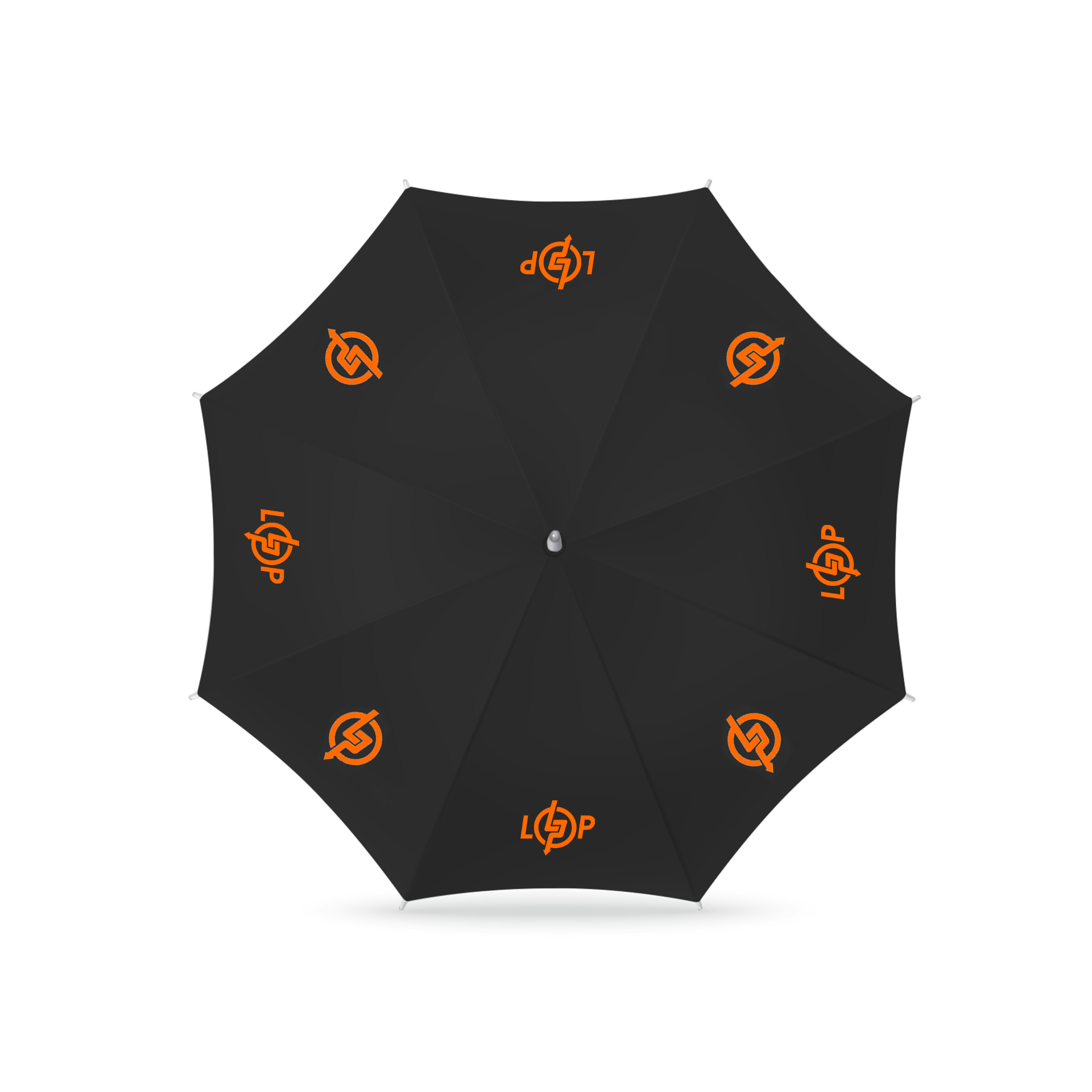 ������ LP 