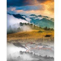 ������ UFO 10x15x200 PP-46200 Fog 