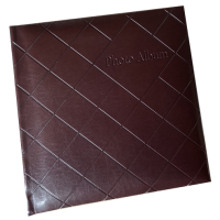������ EVG 20sheet T29x32 GEOMETRY CHOCO 