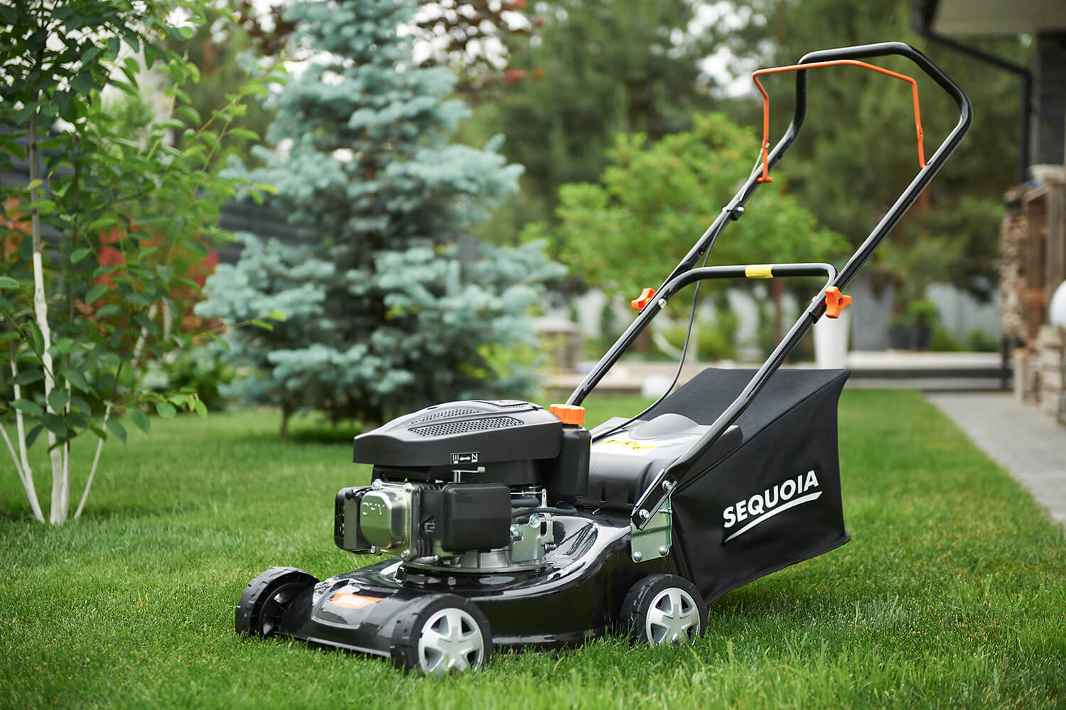 ������������� ���������� SEQUOIA SPLM3040 