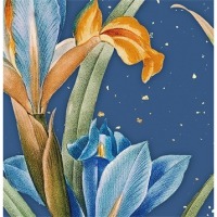 ������ UFO 10x15x200 C-46200 Muza 