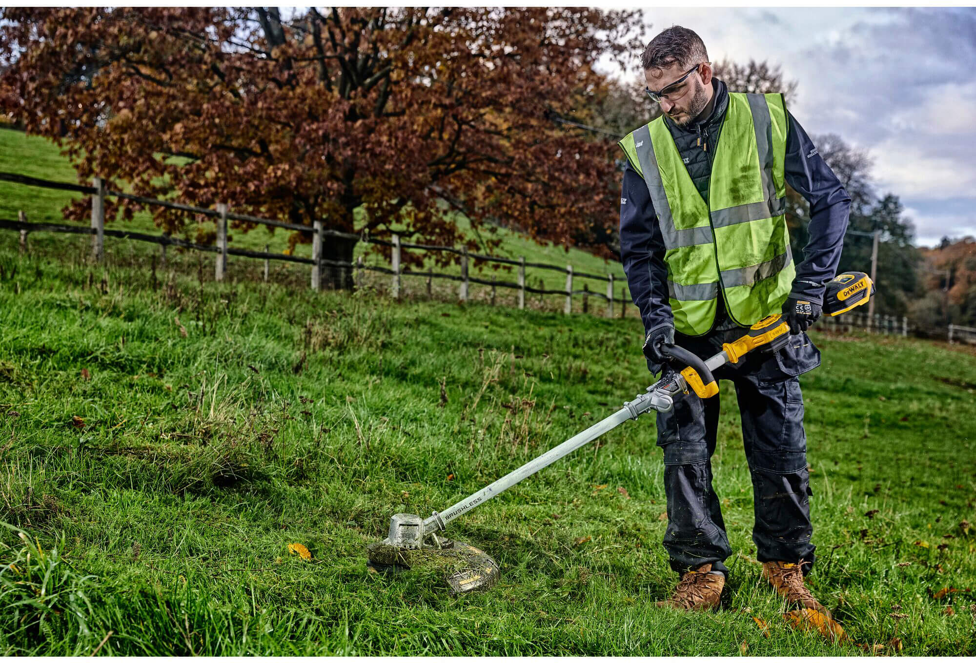 ���� �������������� ����������� DeWALT DCMST561N 