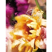 ������ UFO 10x15x200 PP-46200 Rain flowers 