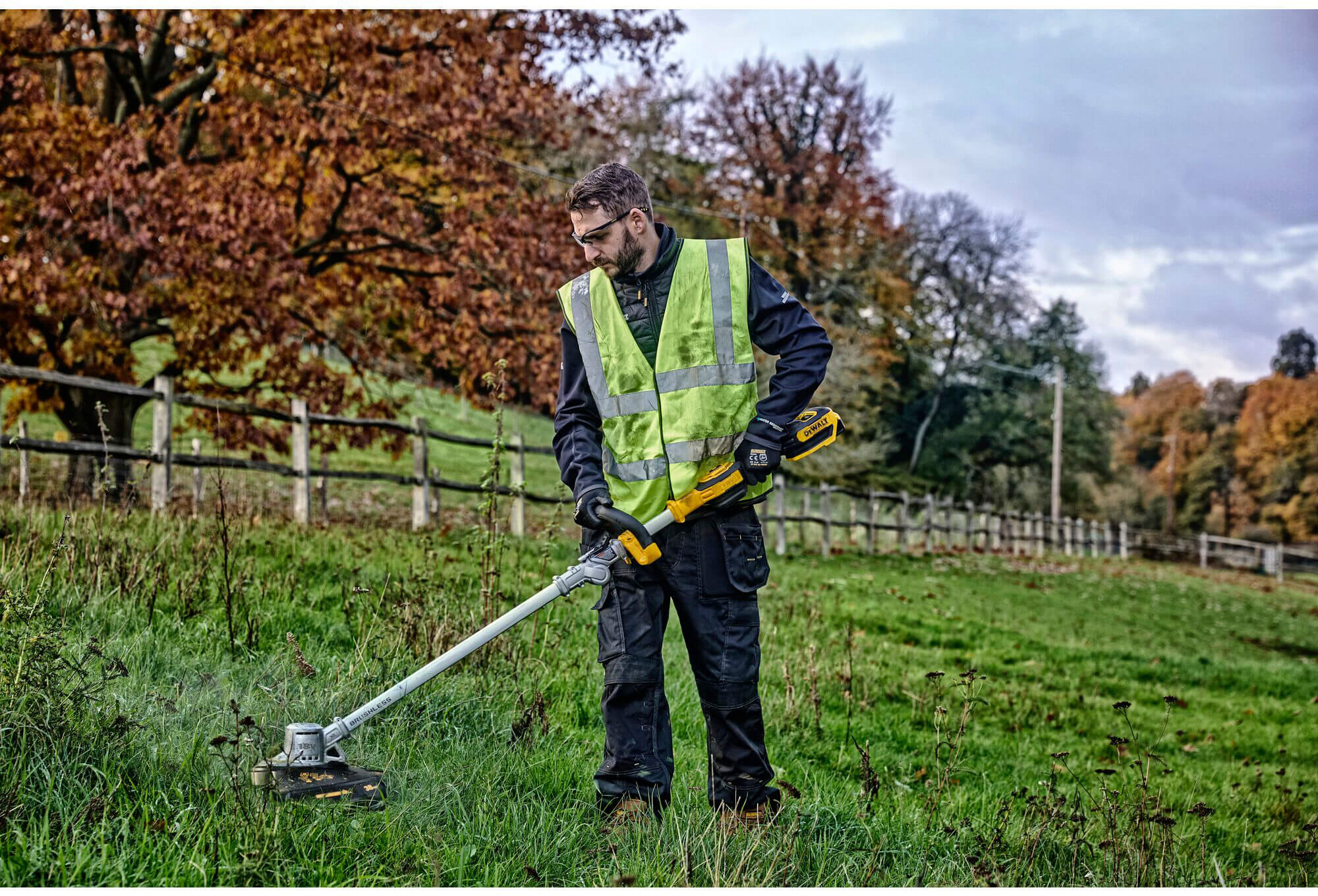 ���� �������������� ����������� DeWALT DCMST561N 