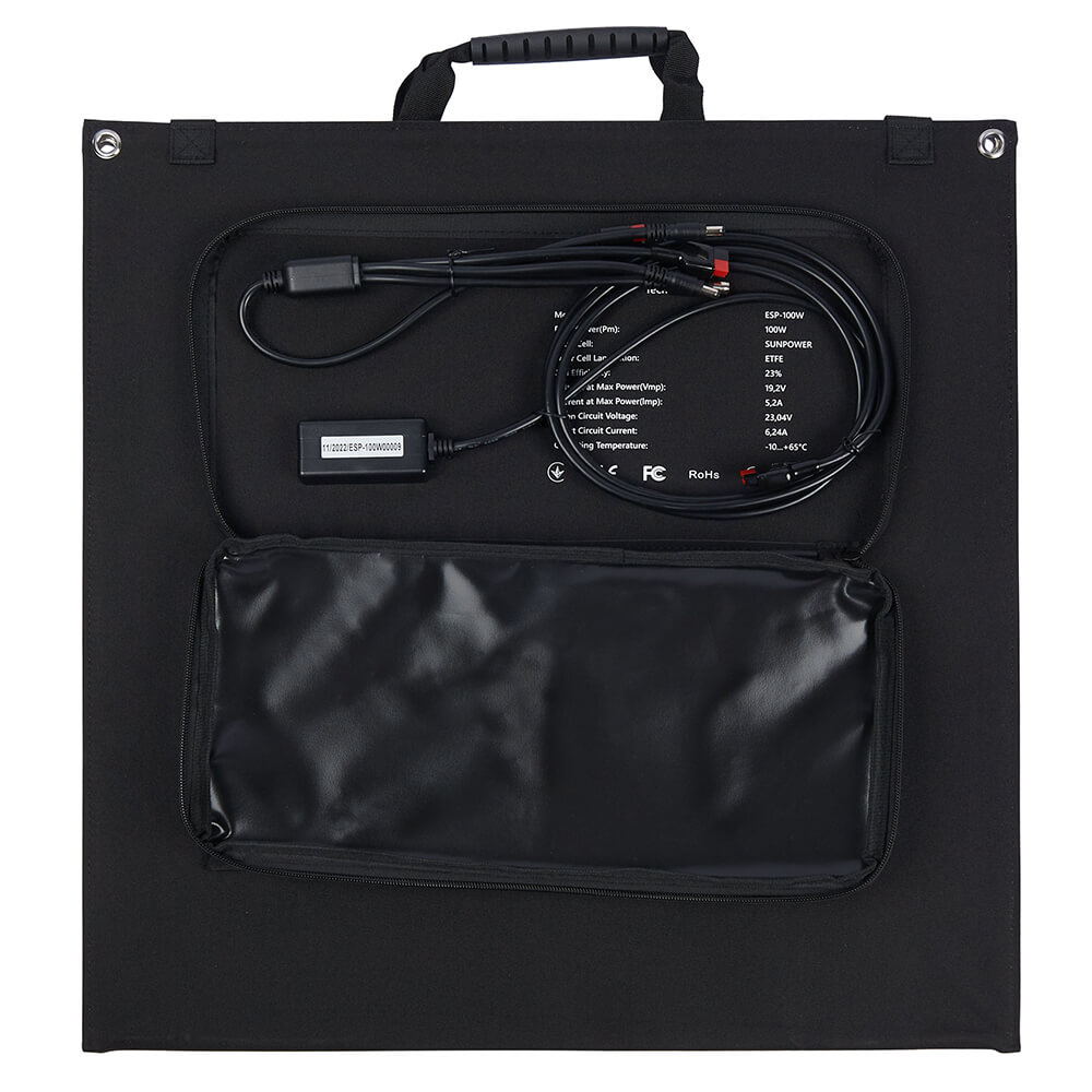 ��������� ������ EnerSol ESP-100W 