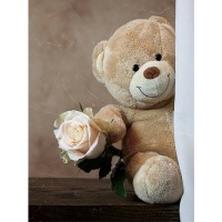 ������ UFO 20sheet S22x32 Congratulations 