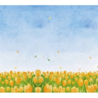 ������ UFO 10x15x200 C-46200 Field 