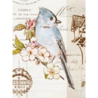 ������ UFO 20sheet S22x32 Bird 