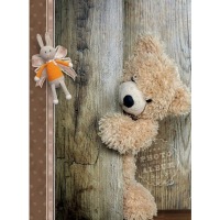 ������ UFO 20sheet S22x32 Bear 