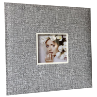 ������ EVG 20sheet S29x32 DOME SILVER 