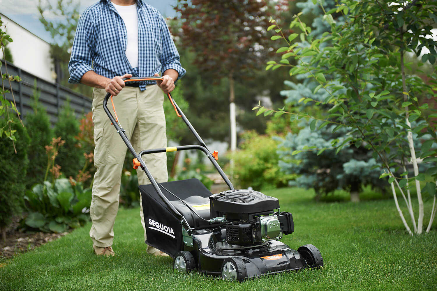 ������������� ���������� SEQUOIA SPLM3040 