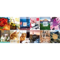 ������ UFO 10x15x96 PP-4696 ����� 