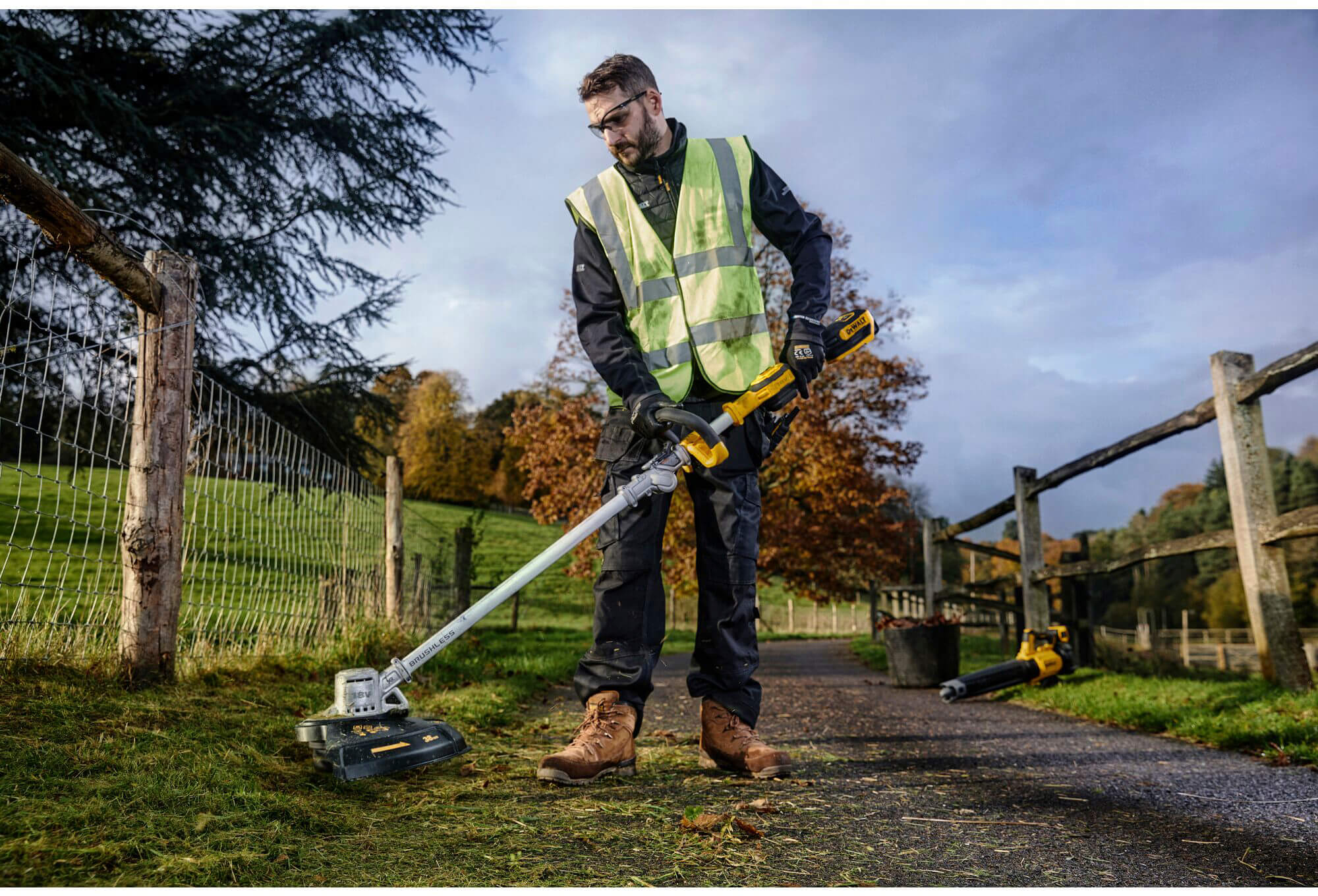 ���� �������������� ����������� DeWALT DCMST561N 