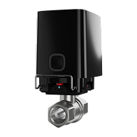 ���� ���������� ���� � ������������� ����������� WaterStop Jeweller 3/4" (DN 20) (������) 