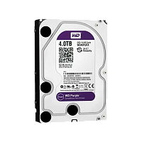 ������� ���� Western Digital 4TB Purple (WD40PURX) 