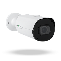 �������� IP ������ GV-173-IP-IF-COS50-30 VMA 