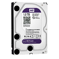 ������� ���� Western Digital 1TB Purple (WD10PURX) 