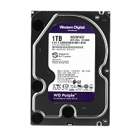 ������� ���� Western Digital 1TB Purple (WD10PURZ) 