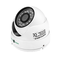 �������������� IP ������ GV-053-IP-G-DOS20-20 POE 